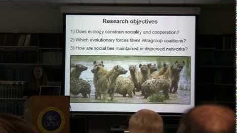 Kinship structures patterns of cooperation and social network dynamics in the spotted hyena