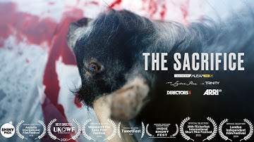 Challenge TRINITY: The Sacrifice