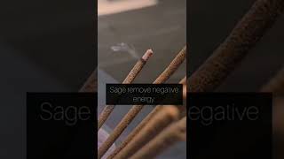 White Sage Can Help Reduce Anxiety, Depression And Balance Emotional Health -