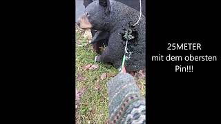 Der Alpha X30 von Hoyt Waidgerechter Bogen 1 Pin bis 25 Meter !! End of Green