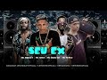 Mc marley mc shek mc dudu sk e mc pepeu  seu ex ta nervoso demais remix brega funk dj swat