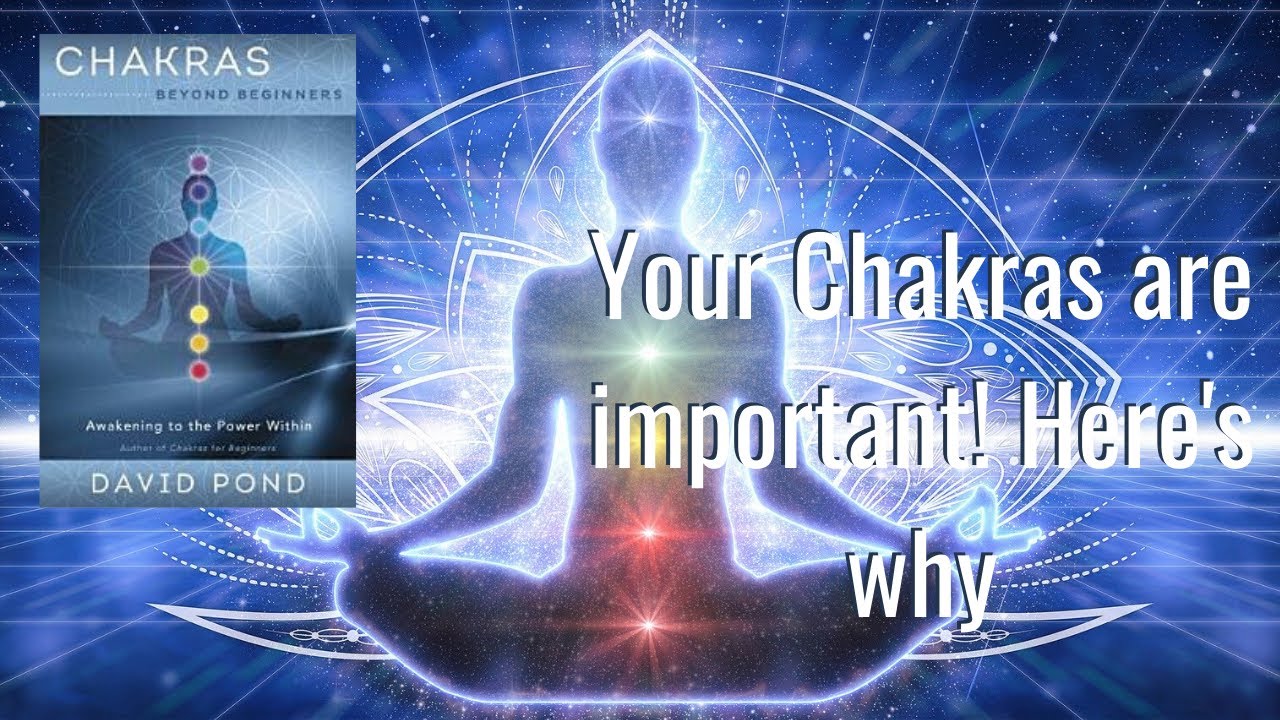Learning About the Chakras with Author David Pond: WooWoo Hour Podcast