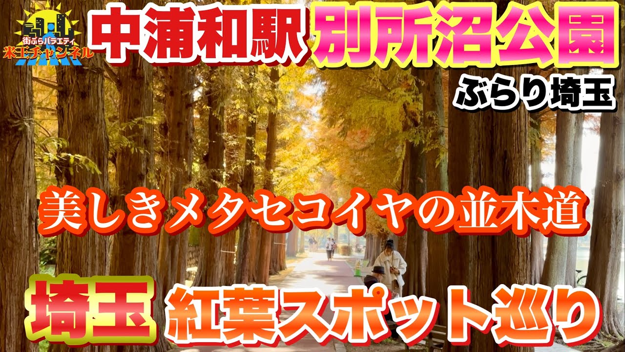 【ぶらり埼玉.紅葉】埼玉紅葉スポット巡りパート1 中浦和駅すぐの別所沼公園