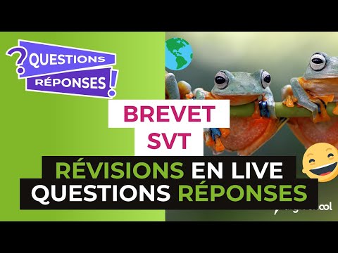 Brevet 2017 : Révisions en Live de SVT : Questions Réponses - digiSchool
