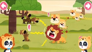 🦁 Adventures with Baby Panda | Explore Animal Families in this Exciting Learning Game! by KidsBabyBus HD 5,051 views 3 months ago 13 minutes, 3 seconds