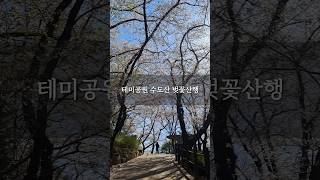 수도산 영상