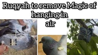 RUQYAH CURE : MAGIC OF AIR / HANGING IN TRESS , HOUSE AND BIRDS.
