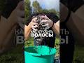 Правила ухода за пористыми волосами