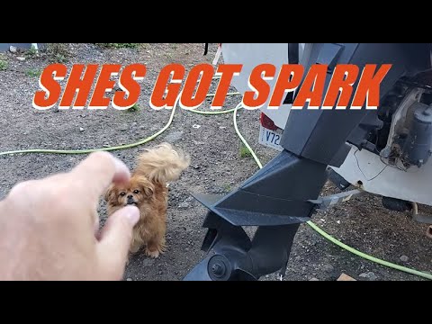 #7 Chrysler courier rebuild fiberglass water pumps n places to put your butt