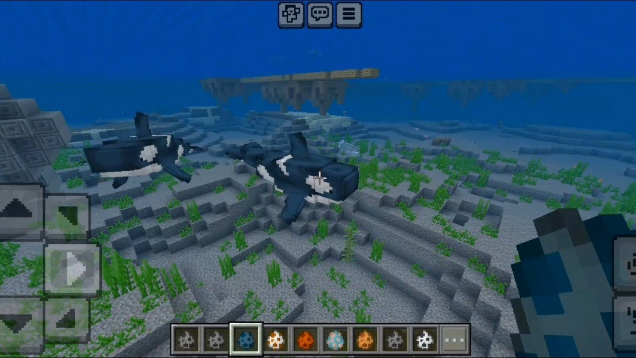 Warm Ocean Animals Addon in Minecraft PE - YouTube