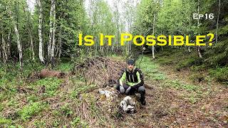 New Shocking Discovery | Busy Spring on Our Homestead | Ep16 |