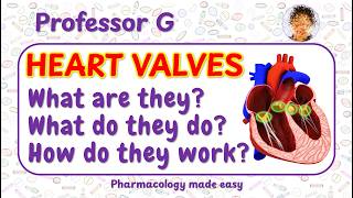 What is a heart valve? How valves keep blood flowing in the right direction through the heart.