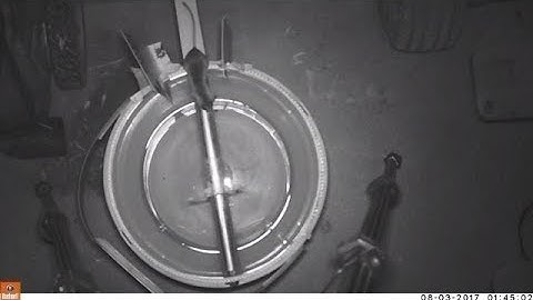 LOG ROLL MOUSETRAP UPGRADE with SURVEILLANCE