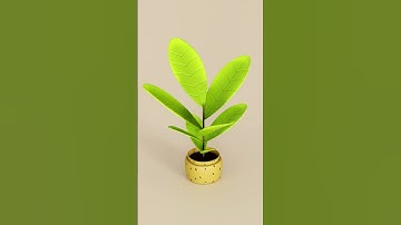 3D pot plant #blendercommunity #blender #3d #3danimation