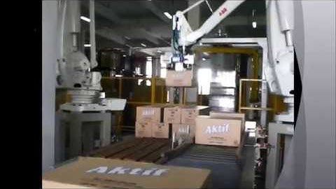 Robotic Palletizer for Cartons