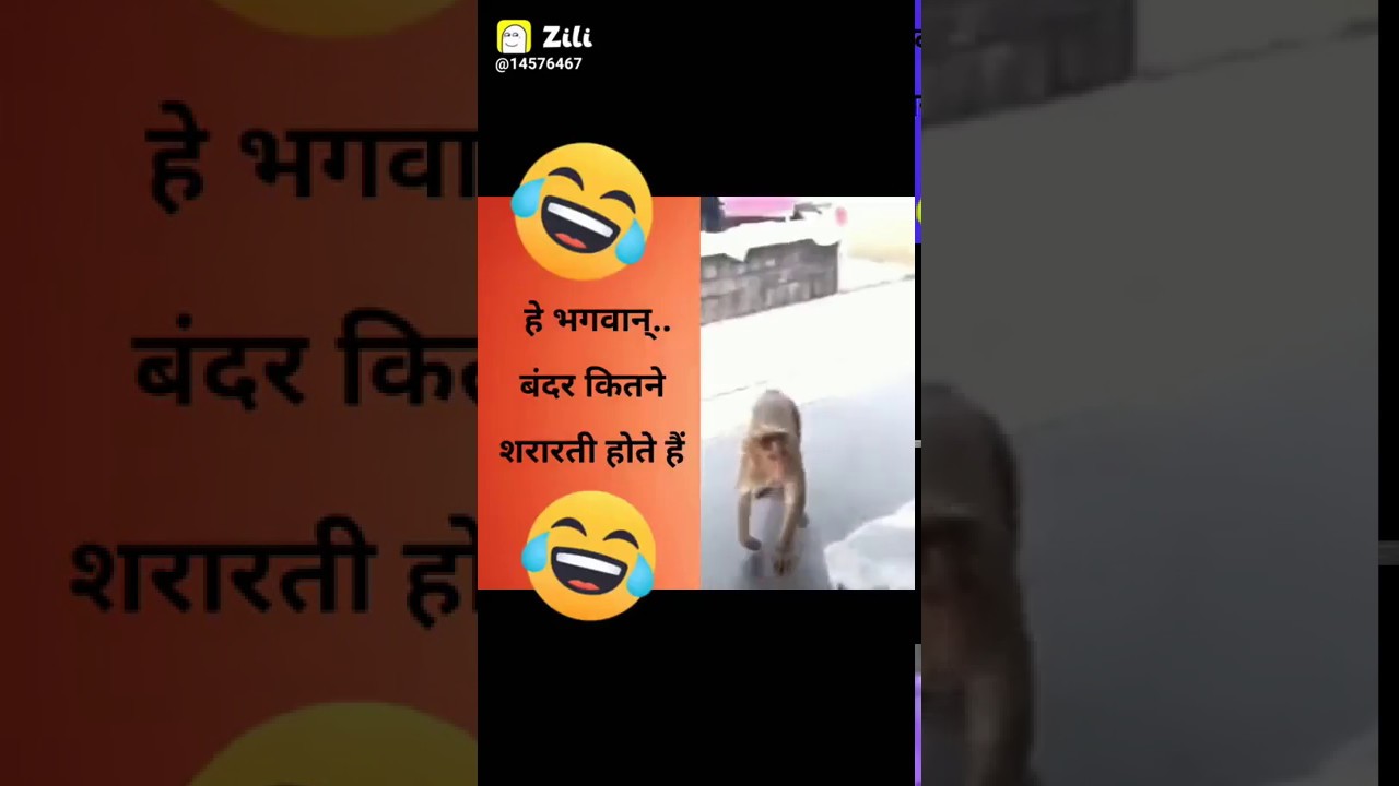 Funny video app 122(2) YouTube