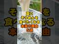 夏にそうめんを食べたくなる本当の理由5選 #健康 #雑学