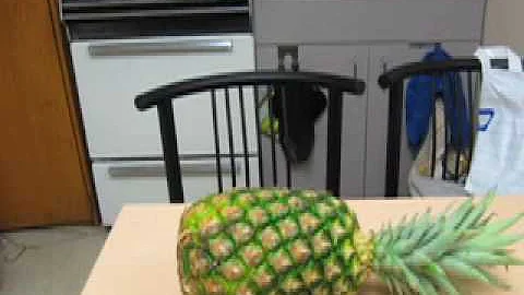 Pineapple, Pineapple by Kathryn Patton