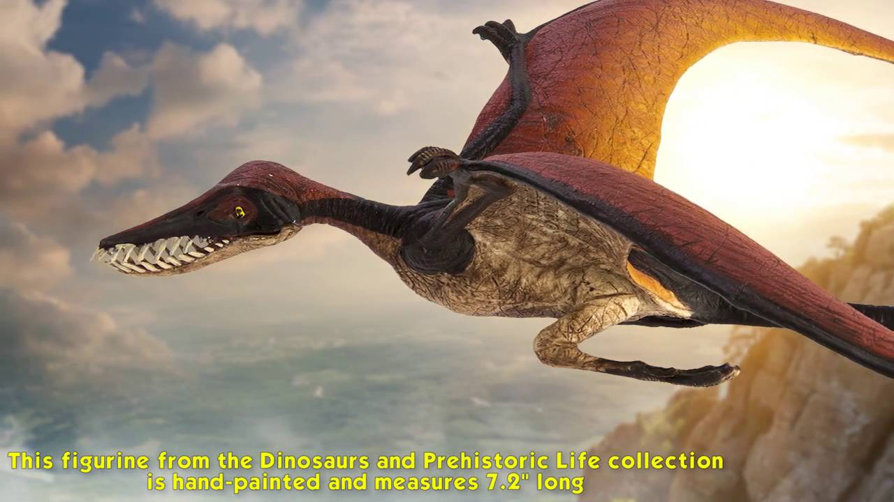 Safari Ltd® Wild Safari® Dinosaurs and Prehistoric Life Rhamphorhynchus