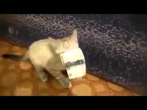 ما مفاكش مع رزقو