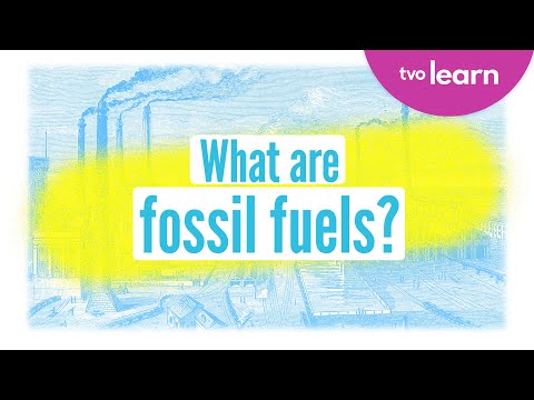 🌍 What Are Fossil Fuels? (⛏️ Coal, 🛢️ Oil & 🔥 Natural Gas) | Fossil Fuels 101 | TVO Learn