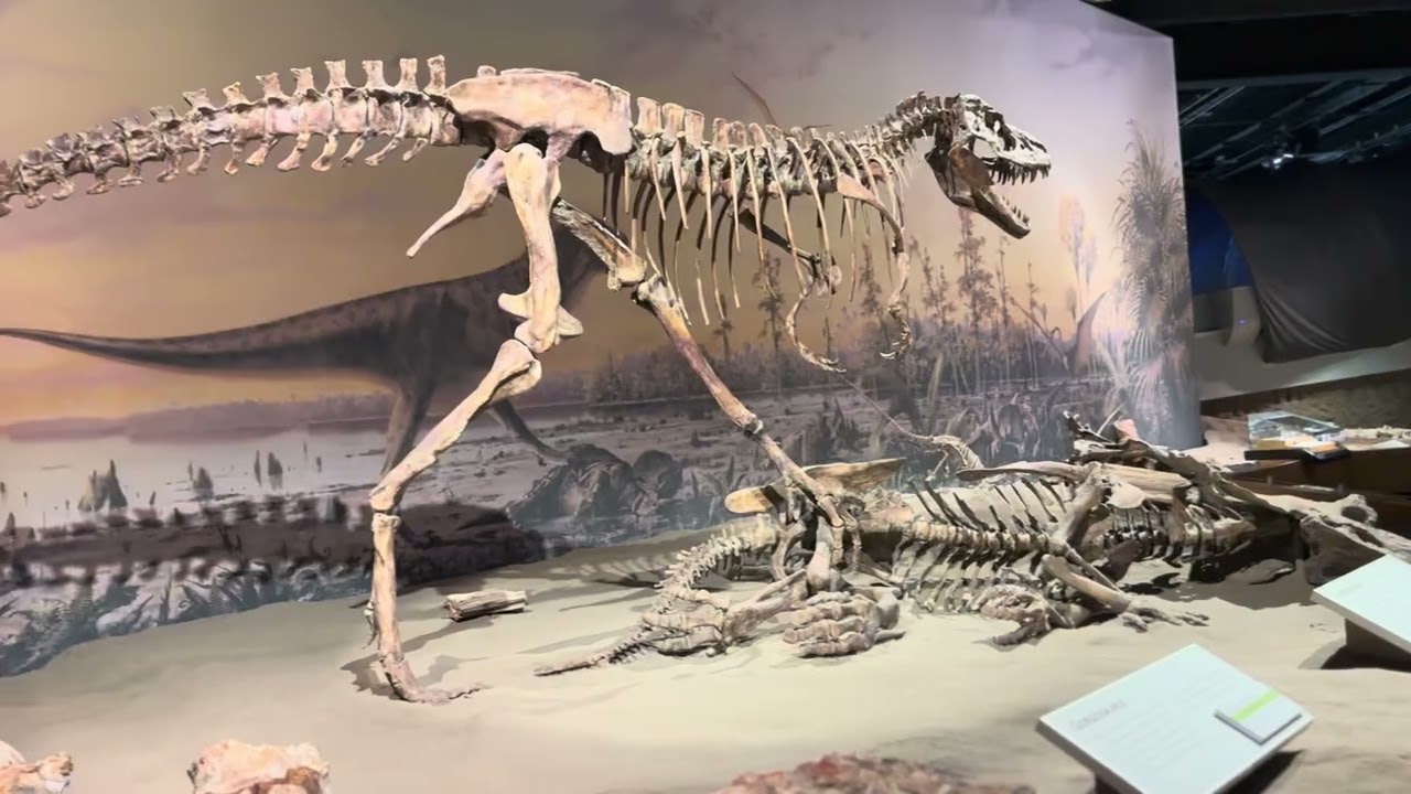 “Digging Into Deep Time: Exploring Dinosaur Fossil Discoveries”