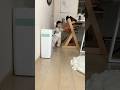 【パパワンオペ中に赤ちゃん大号泣＆大泣き＆ギャン泣き】#赤ちゃん #大泣き #ギャン泣き #新生児 #記録 #baby #newborn #かわいい #赤ちゃんのいる生活 #newbornbaby