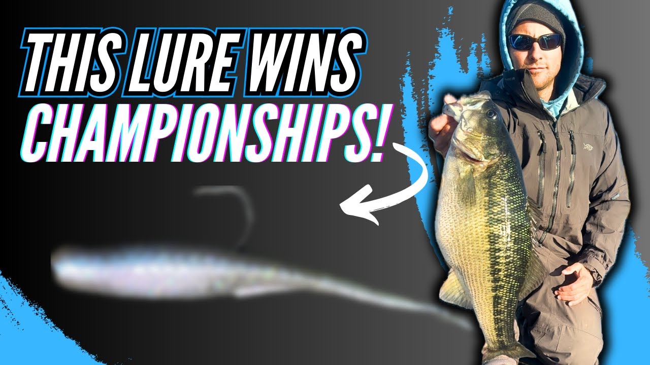 The Hottest Lure in Bass Fishing… 2024