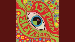 Vignette de la vidéo "13th Floor Elevators - Roller Coaster"