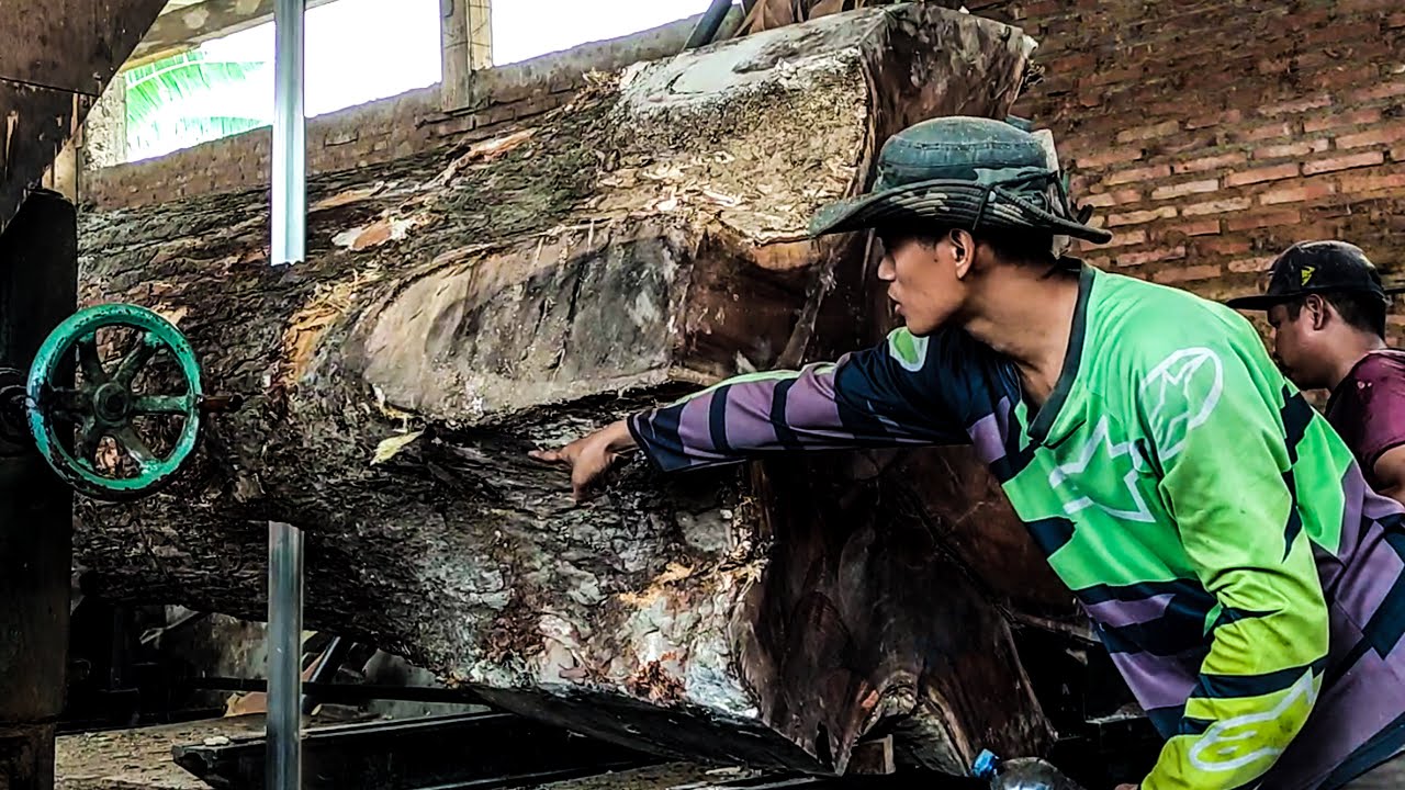 Los Angeles’ Hidden Lumber Mill – Producing the Finest Trembesi Wood Ever