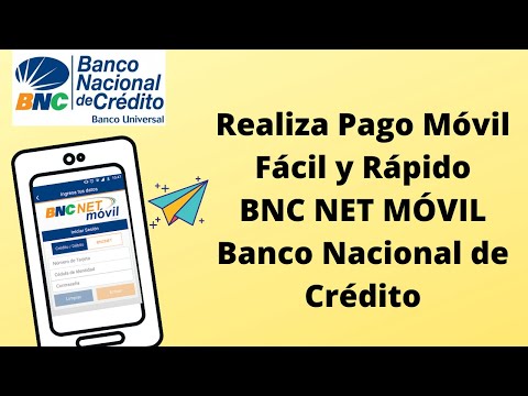 Cómo Realizar Pago