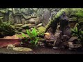 Soft Piano & 4K Relaxing Aquarium  | Relaxing Study Music |