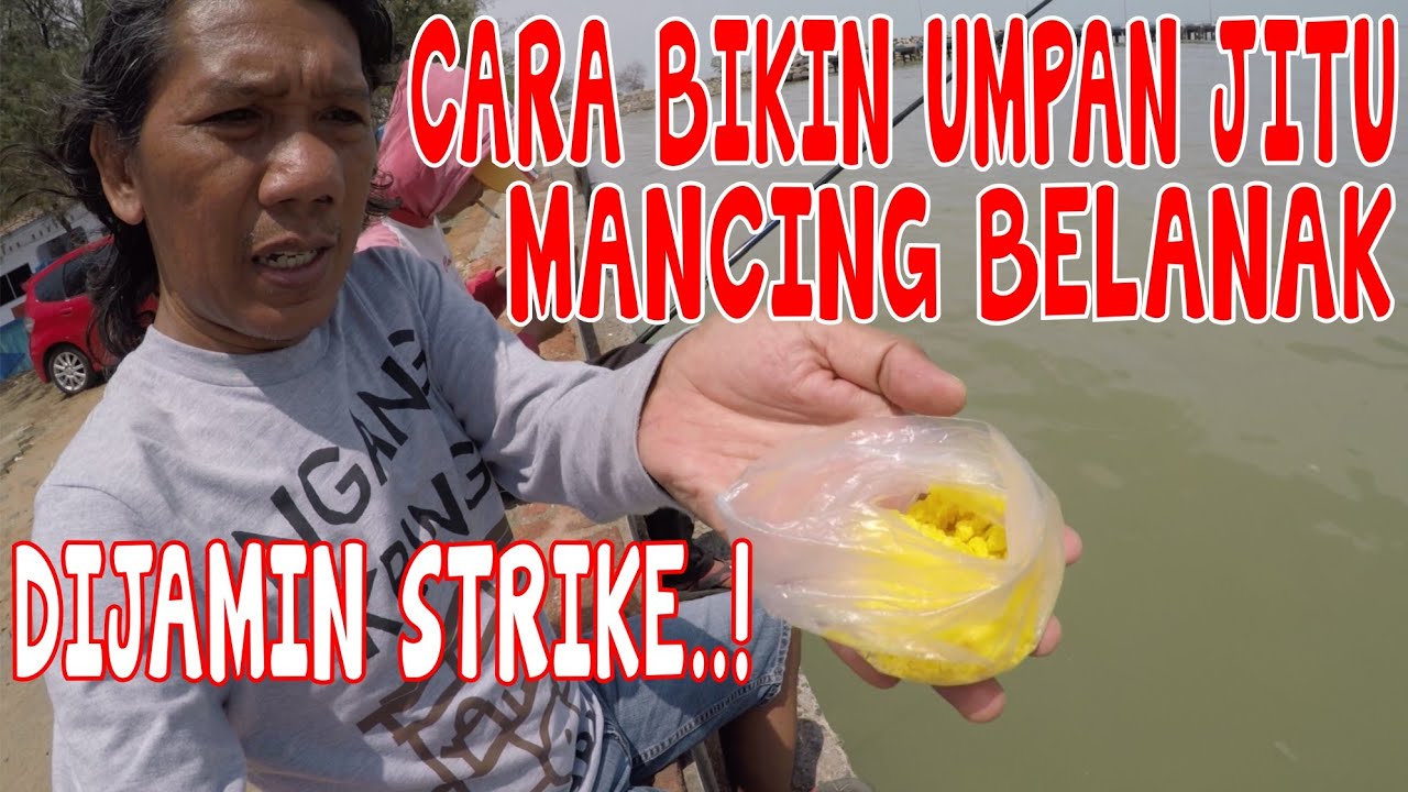 CARA BIKIN UMPAN MANCING BELANAK , TERBUKTI JITU PANEN STRIKE