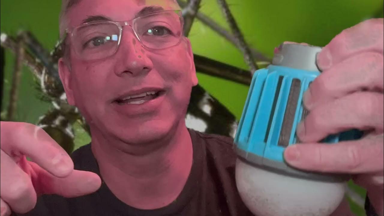 Wisely Battery Bug Zapper with light Review & Unboxing YouTube
