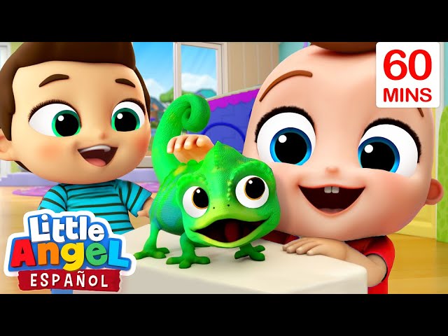 ¡Mi Mascota Cambia De Colores! | Canciones Infantiles de Bebé Juan | Little Angel class=