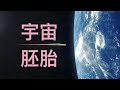 地球生命的外星起源  |  如果你覺得自己不屬於地球，你可能是對的【邊界系列】♾️ 想開億點