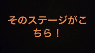 デグー ふくに大量のステージつけてみた