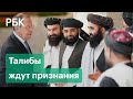 Талибы поддержали слова Путина о возможном исключении их из списка террористов