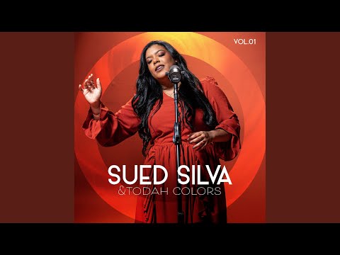 Onde Está Sua Fé? (Playback) - Sued Silva