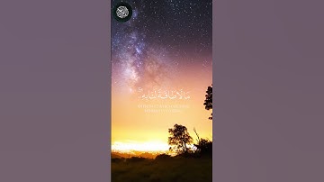 ﴿ لا يكلف الله نفسا إلا وسعها ﴾ سورة البقرة المشاري العفاسي #القرآن_الكريم #اكسبلور