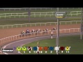 Race 4 - UAE 2000 Guineas Trial Sponsored By DP World UAE Region