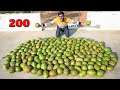 How Much Water in 200 Green Coconuts? 200 हरे नारियल में कितना पानी निकलेगा?