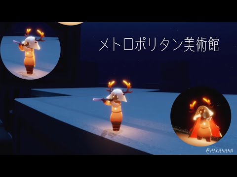 【sky星を紡ぐ子どもたち】メトロポリタン美術館【合奏してみた】【全部俺】