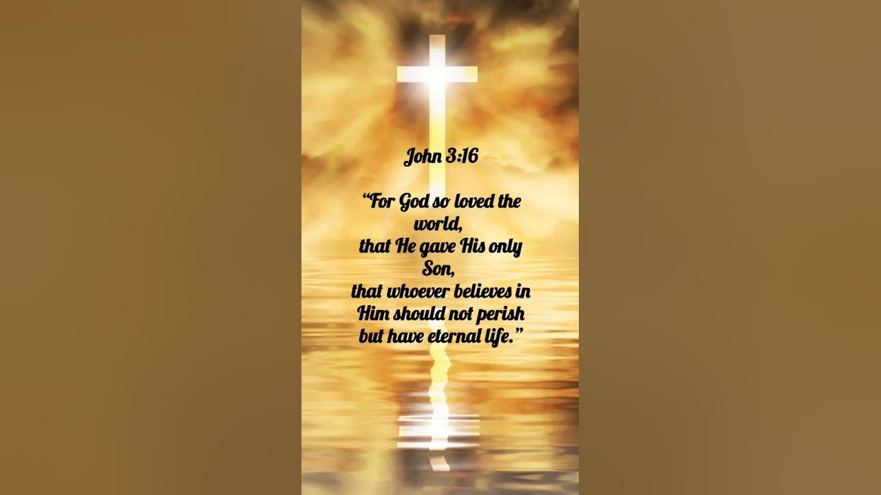 BIBLE VERSE JOHN 3:16