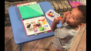 Brown Bear, Brown Bear  Hands-on  Preschool Activities