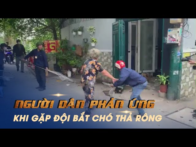 Người dân phản ứng, đòi kiểm tra chuyên đề khi gặp đội bắt chó thả rong class=