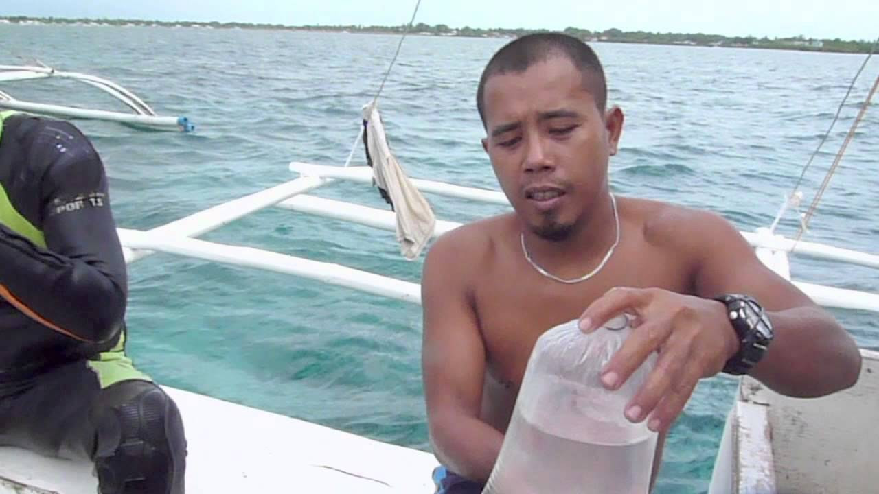 Update Methoden des Fischfangs auf den Philippinen
