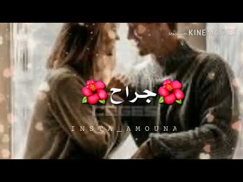 فضل شاكر شيرين كل عام وانت حبيبي