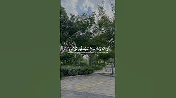 سورة الأحزاب الآية (٥٦) بصوت القازئ عمر الدريويز ❤️ #اكسبلور #اسلام
