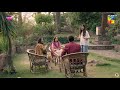 Ali Ghayib Hogaye | Jinn Ki Shadi Unki Shadi | HUM TV
